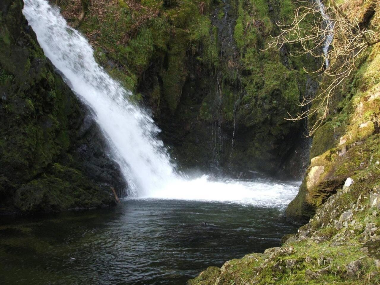 Charming Cabin Near Snowdonia National Park كارنارفون المظهر الخارجي الصورة
